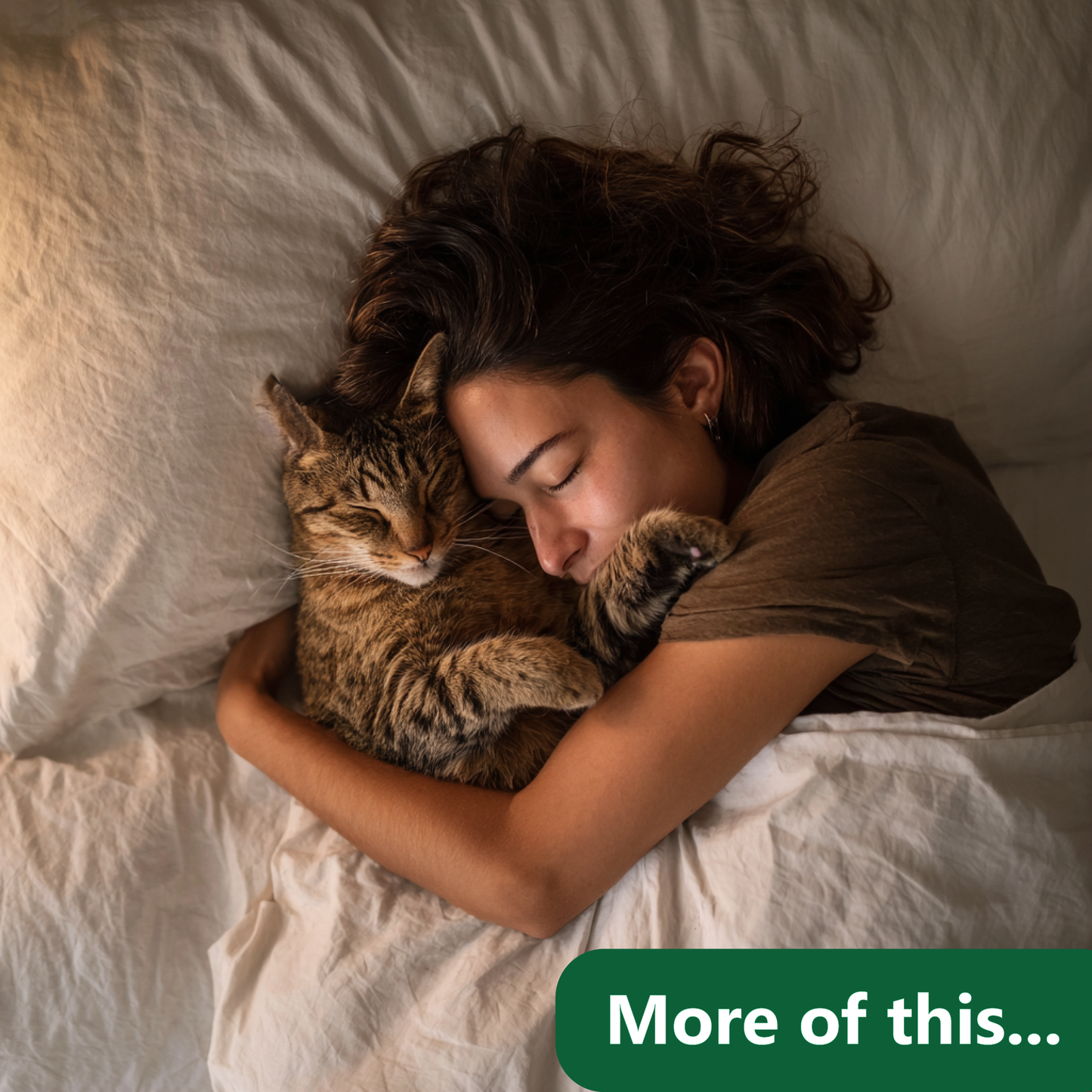 Excel Reconciliation Desktop Application